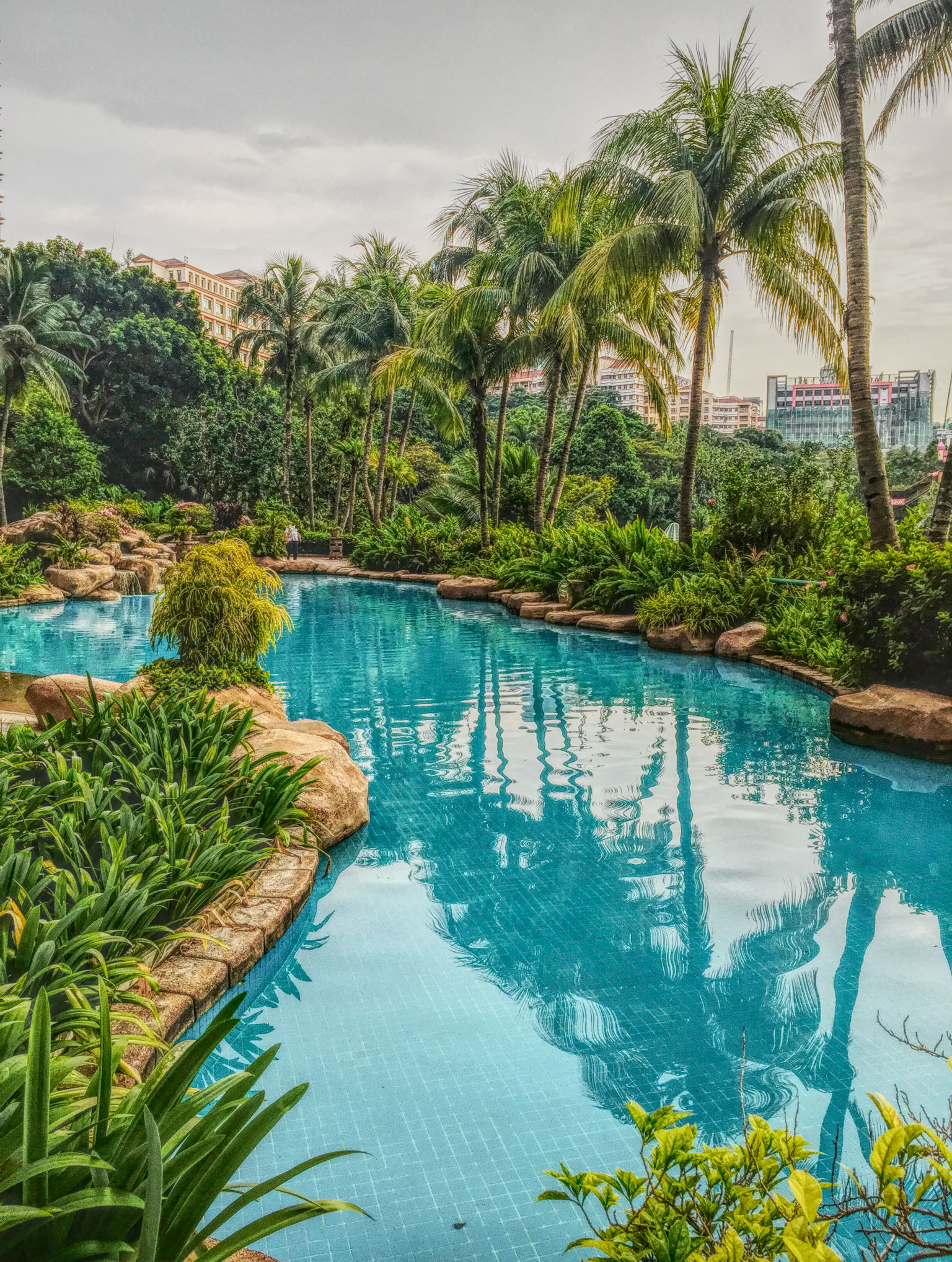 musalam ali almusalam musalam.net علي المسلم notes مفكرة