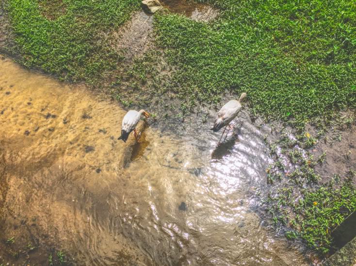 musalam ali almusalam musalam.net علي المسلم notes مفكرة